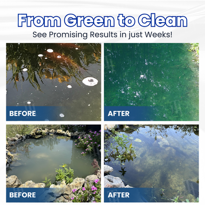 ✨ From Green to Clean Overnight! |⏱️ Crystal Clear in 24 Hours! | MYGlowmira® WaterGuardian Pro Formula